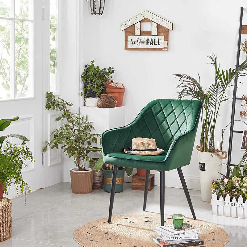 Chaise de salle à manger - chaise de cuisine - siège en velours - jambes en métal - vert