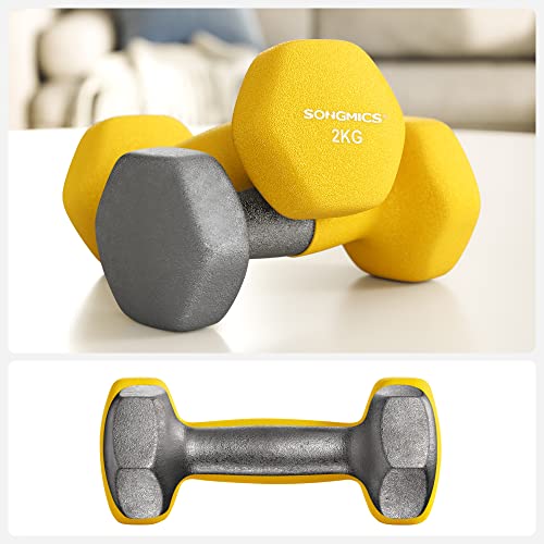 Halters - Dumbbells - Set van 2 - 2 x 2 kg - Home gym