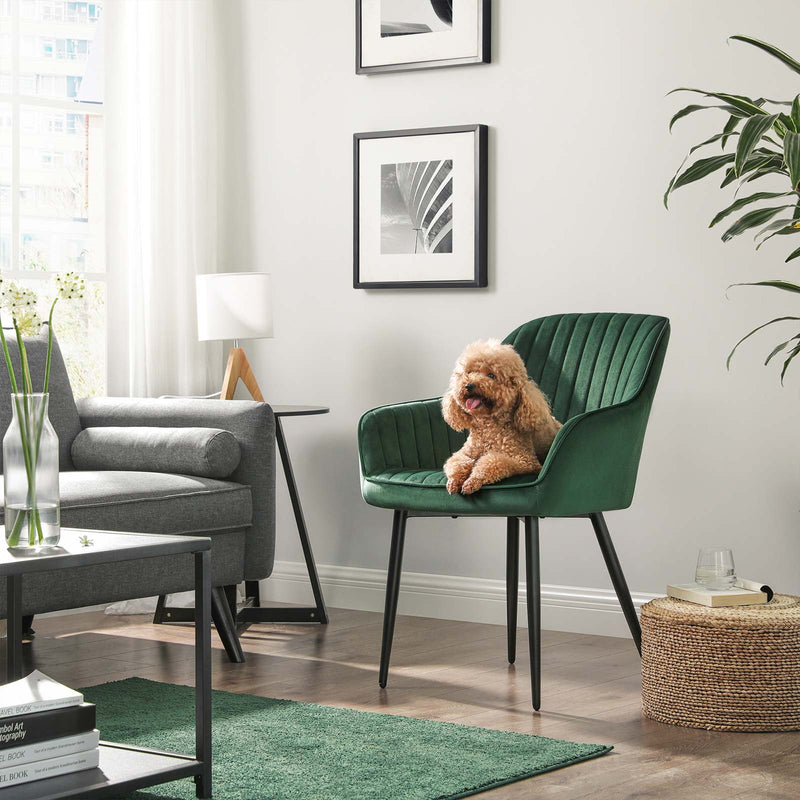 Chaises de salle à manger - fauteuil - chaises mises à jour - Ensemble de 6 - avec accoudoirs - Metal Legs - Velvet Upolstery - Green