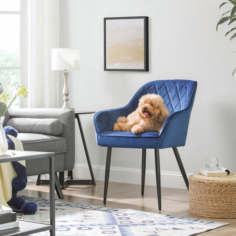 Chaise de salle à manger - chaise rembourrée - avec accoudoirs - Jamens métalliques - Upolster en velours - bleu