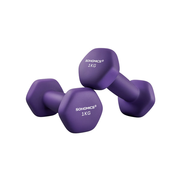 Vasterit - 2 painoa 1 kg - riimarusarja - violetti